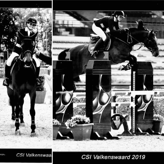 Gucci, 2nd place in the Final of 5years old horses at CSIYH Bonheiden