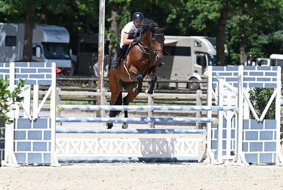 Nikita / Casall - Carvallo