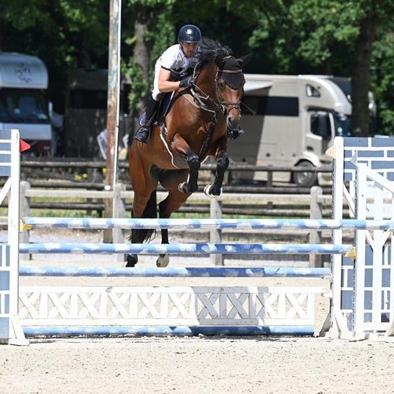 Nikita / Casall - Carvallo